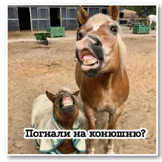 Стикер ~•Ⲯυⳅⲏυⲏыⲉ Ⲗⲟⲱⲁⲇυ•~ - 10