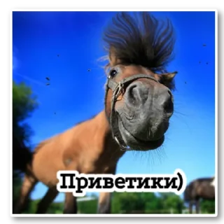 Стикер ~•Ⲯυⳅⲏυⲏыⲉ Ⲗⲟⲱⲁⲇυ•~ - 3