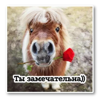 Стикер ~•Ⲯυⳅⲏυⲏыⲉ Ⲗⲟⲱⲁⲇυ•~ - 11