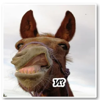 Стикер ~•Ⲯυⳅⲏυⲏыⲉ Ⲗⲟⲱⲁⲇυ•~ - 7