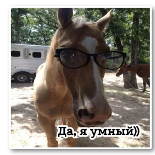 Стикер ~•Ⲯυⳅⲏυⲏыⲉ Ⲗⲟⲱⲁⲇυ•~ - 4