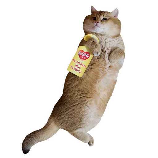 Стикер Hosicooo - 1