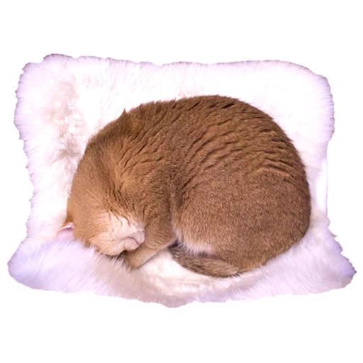 Стикер Hosicooo - 1