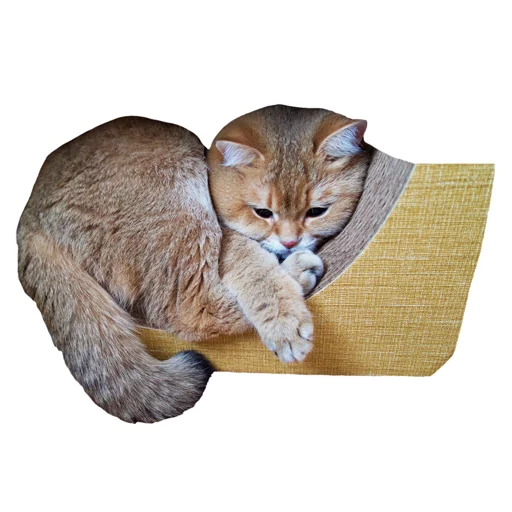 Стикер Hosicooo - 1