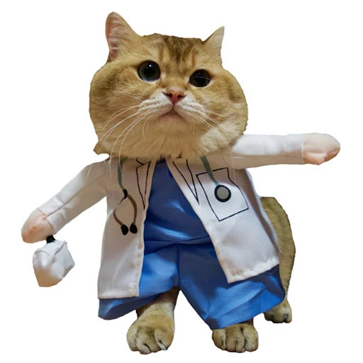 Sticker Hosicooo - 1