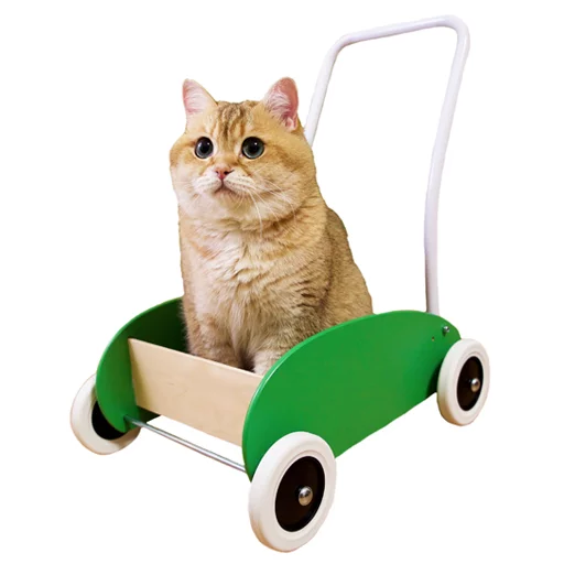 Sticker Hosicooo - 1