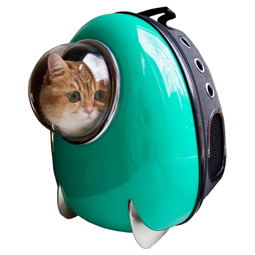 Sticker Hosicooo - 1