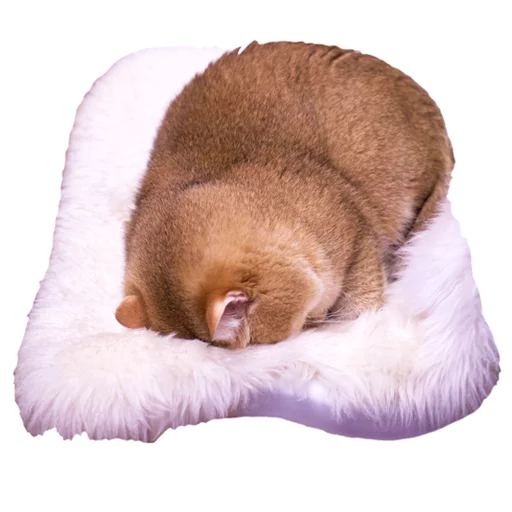 Sticker Hosicooo - 1