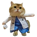 Sticker Hosico Cat - 11