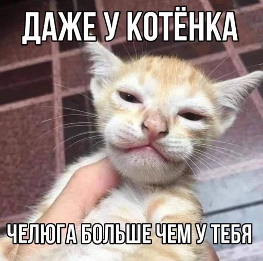 Sticker Hot_finland_boys - 1