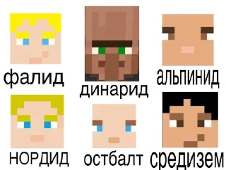 Стикер 🇸🇪🇫🇮🇫🇴🇳🇴🇮🇸 - 4