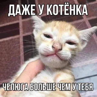 Стикер 🇸🇪🇫🇮🇫🇴🇳🇴🇮🇸 - 1