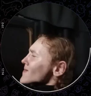 Стикер 🇸🇪🇫🇮🇫🇴🇳🇴🇮🇸 - 6