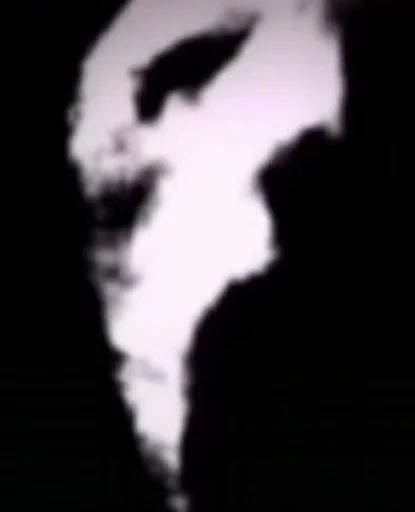 black animal black and white