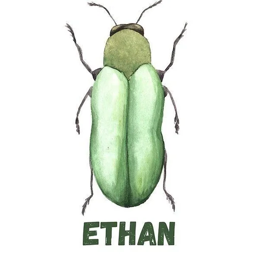 Sticker батончик корни :: @fStikBot - 11