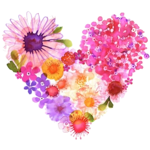 цветок растение лепесток