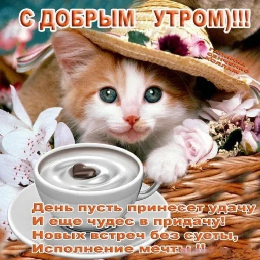Стикер HqnIXFjVdPZ_by_stickers_stealer_bot - 1