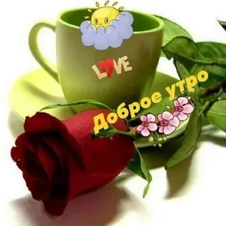 Sticker Больше стикеров: @sticerru - 2