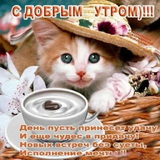 Sticker Больше стикеров: @sticerru - 7