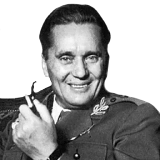 Стикер Hrvatski Memosi - 0