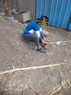 Sticker ⟪ 𝒄𝒉¹ @OR_UP ⟫ ⟪ 𝒄𝒉² @UP_OF ⟫ للمزيد - 5