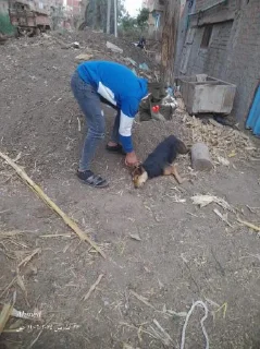 Sticker ⟪ 𝒄𝒉¹ @OR_UP ⟫ ⟪ 𝒄𝒉² @UP_OF ⟫ للمزيد - 7