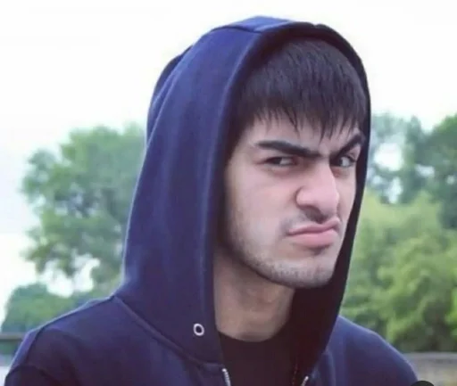 MiyaGi/Andy Panda by @fStikBot - human face