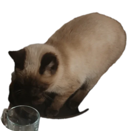 Стикер HtoToStrannyj - 1