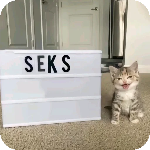 Стикер HuepleticheskayaReligiya - 1