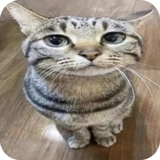 Sticker HuepleticheskayaReligiya - 1