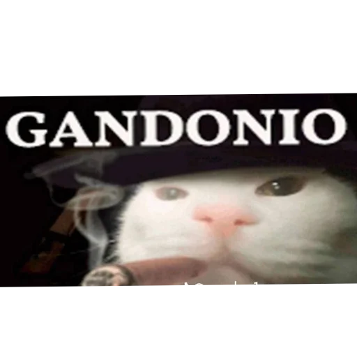 Sticker HuepleticheskayaReligiya - 1