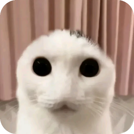 Sticker HuepleticheskayaReligiya - 1