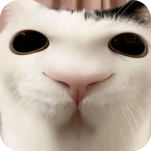 Sticker HuepleticheskayaReligiya - 1