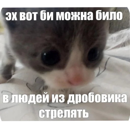 Sticker HuepleticheskayaReligiya - 1