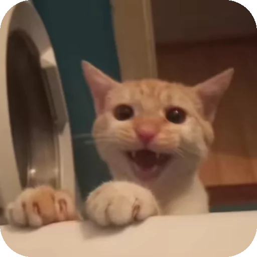 Sticker HuepleticheskayaReligiya - 1