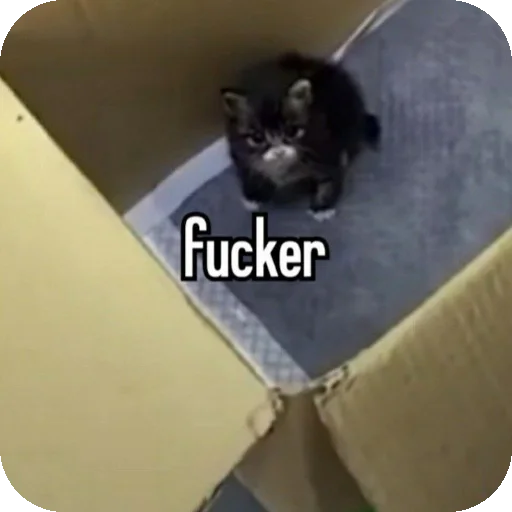 Sticker HuepleticheskayaReligiya - 1