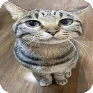 Стикер хуеплетическая религия🙏 by @Raywjy - 10