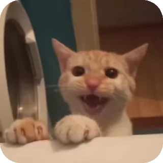 Стикер хуеплетическая религия🙏 by @Raywjy - 2