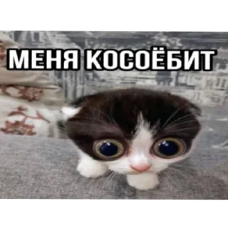 Стикер хуеплетическая религия🙏 by @Raywjy - 1