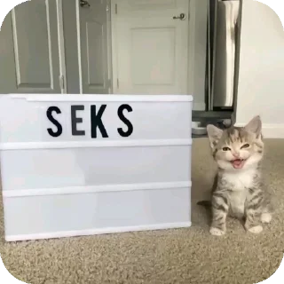 Стикер хуеплетическая религия🙏 by @Raywjy - 11