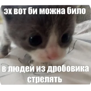 Стикер хуеплетическая религия🙏 by @Raywjy - 3