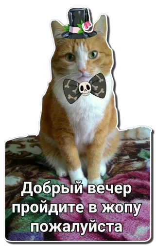 Sticker 123qwerty123 shit pack - 11