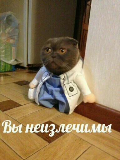 Sticker 123qwerty123 shit pack - 9