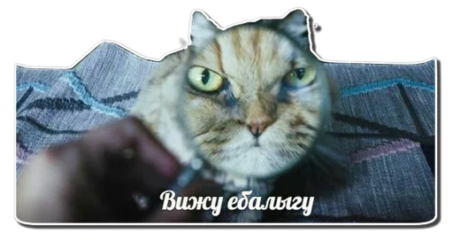 Sticker 123qwerty123 shit pack - 6