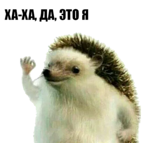 Sticker 123qwerty123 shit pack - 2