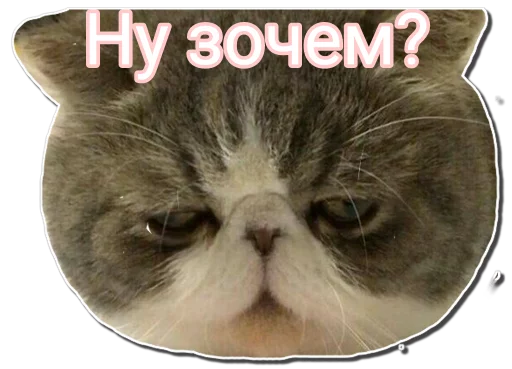 Sticker 123qwerty123 shit pack - 0