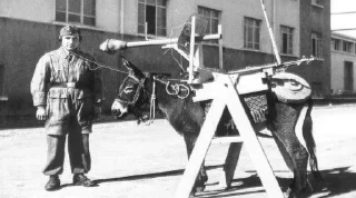 Sticker Хуйня від Льошика - 2