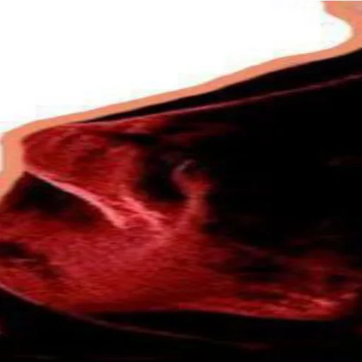 Sticker Хью Хефнер | by @uffchat - 3