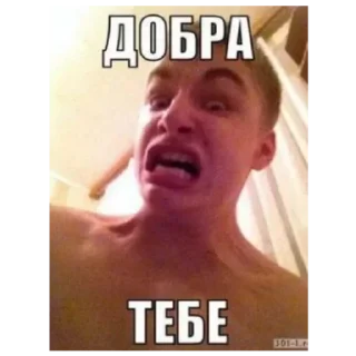 Sticker Сыер бәтәге | by @Nukitaaa123 - 7