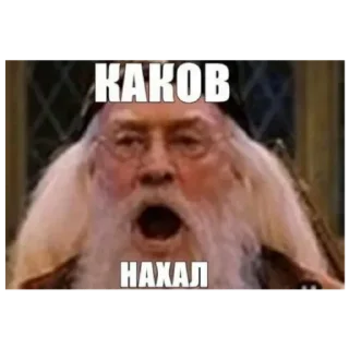 Sticker Сыер бәтәге | by @Nukitaaa123 - 4